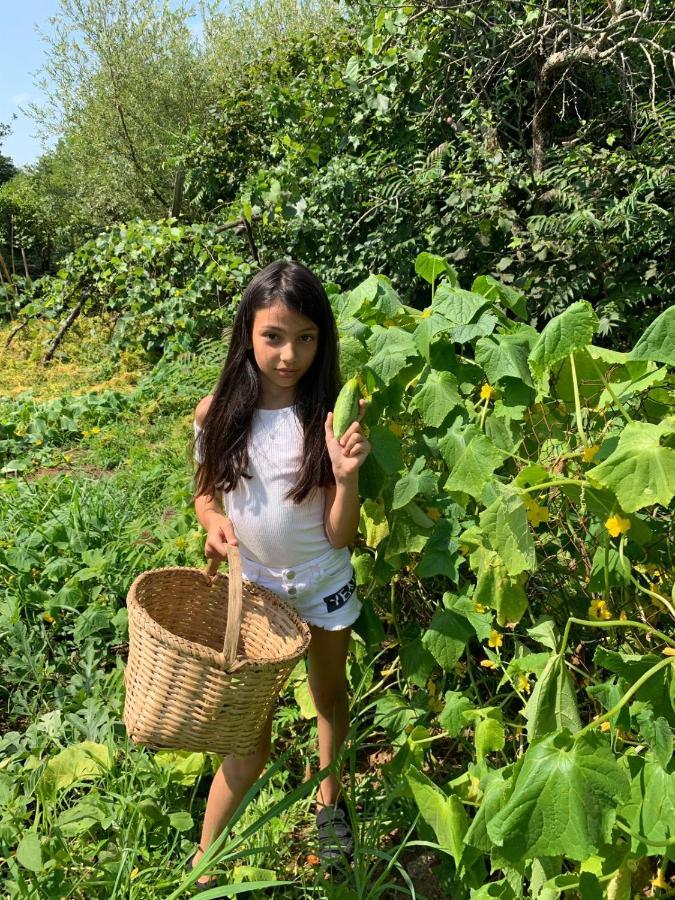 Tskaltubo Village - Nature Resort Ngoại thất bức ảnh